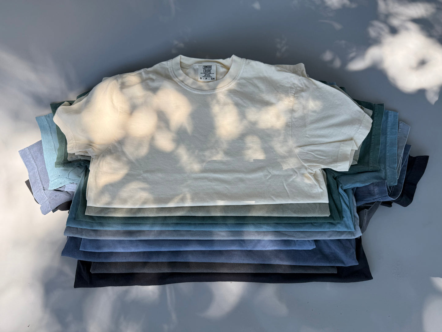 Raw Milk Revolution โ Embroidered Truthwear Tee ๐