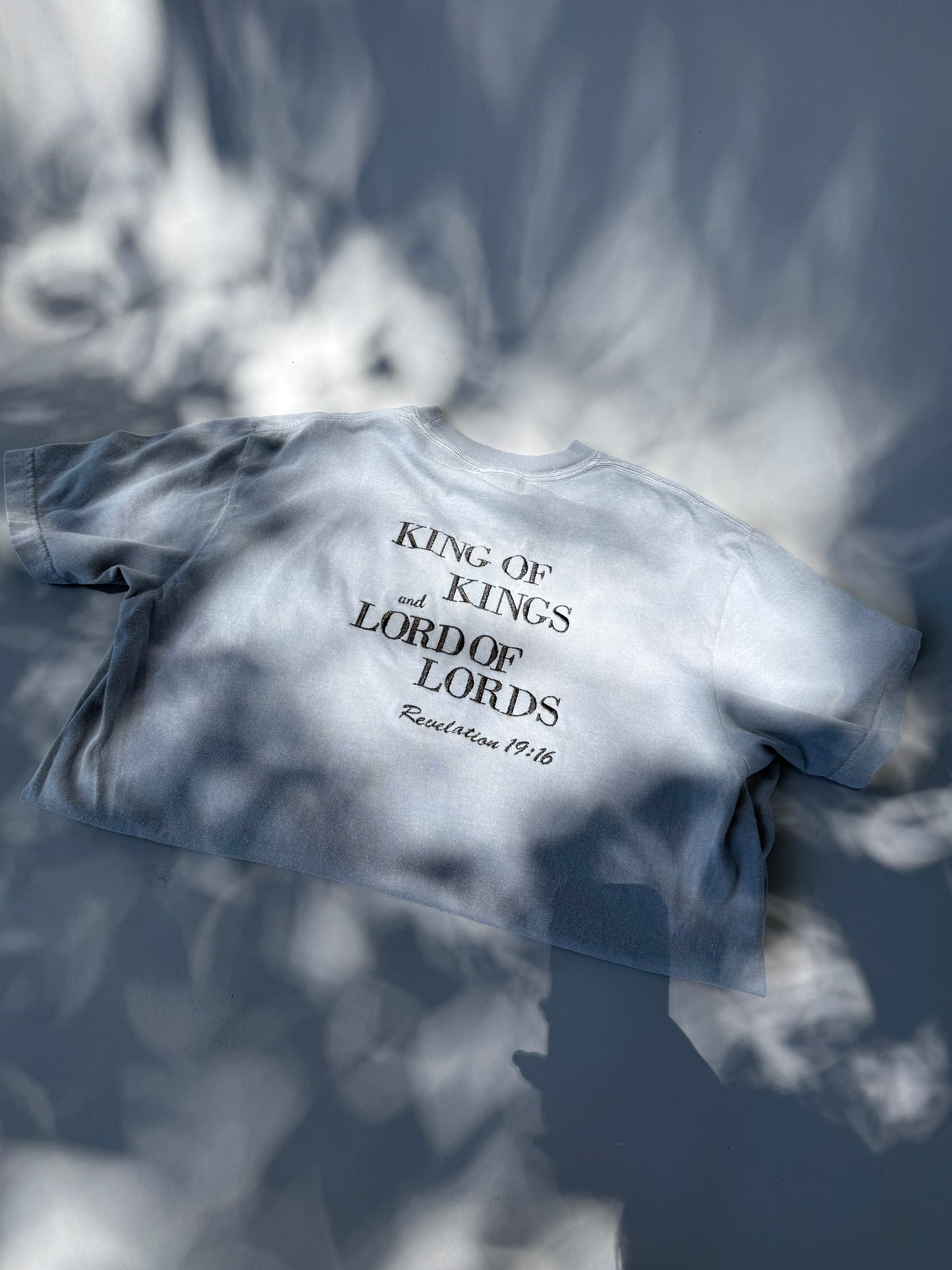 King of Kings, Lord of Lords β Embroidered Christian Tee βοΈ